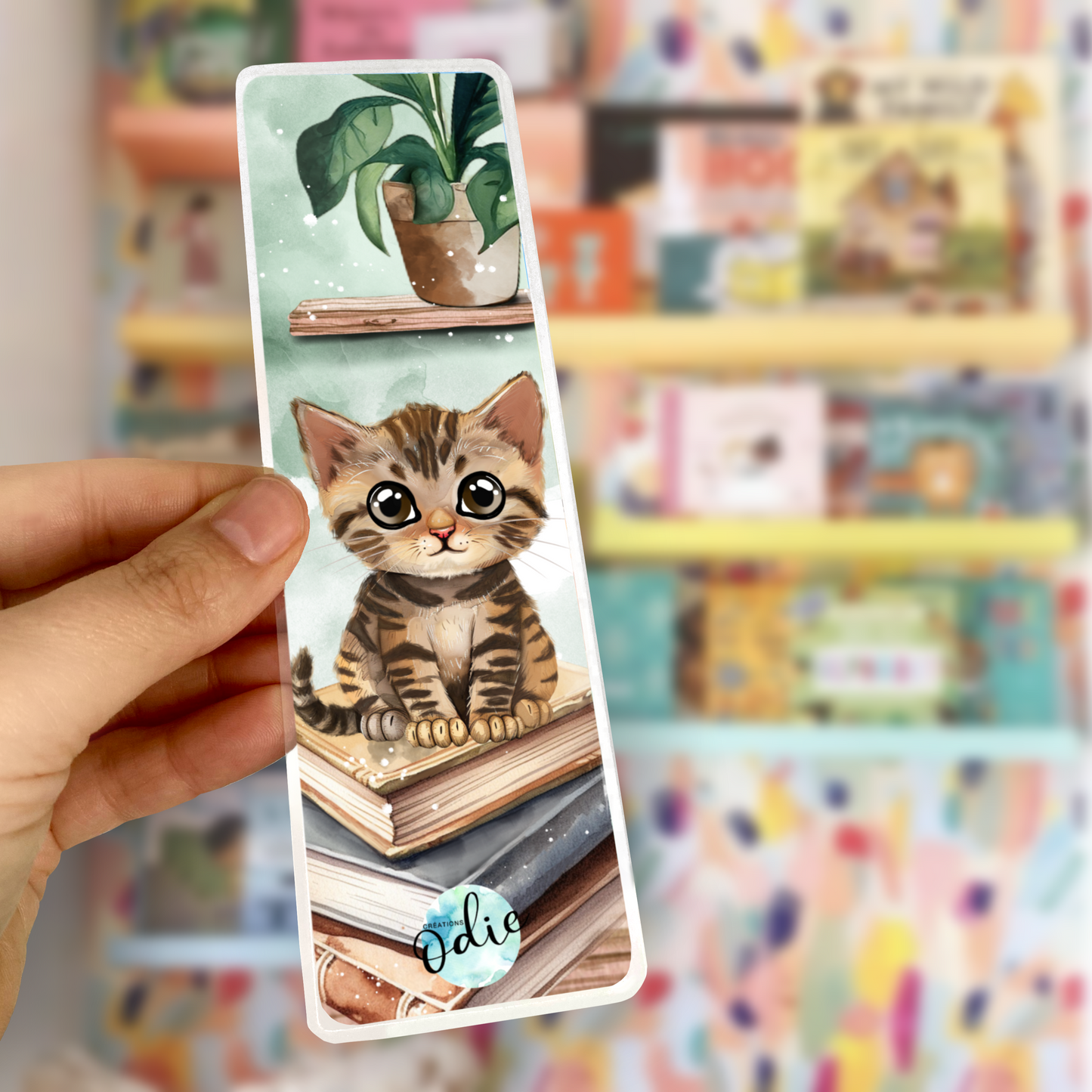 Signet - Chaton brun