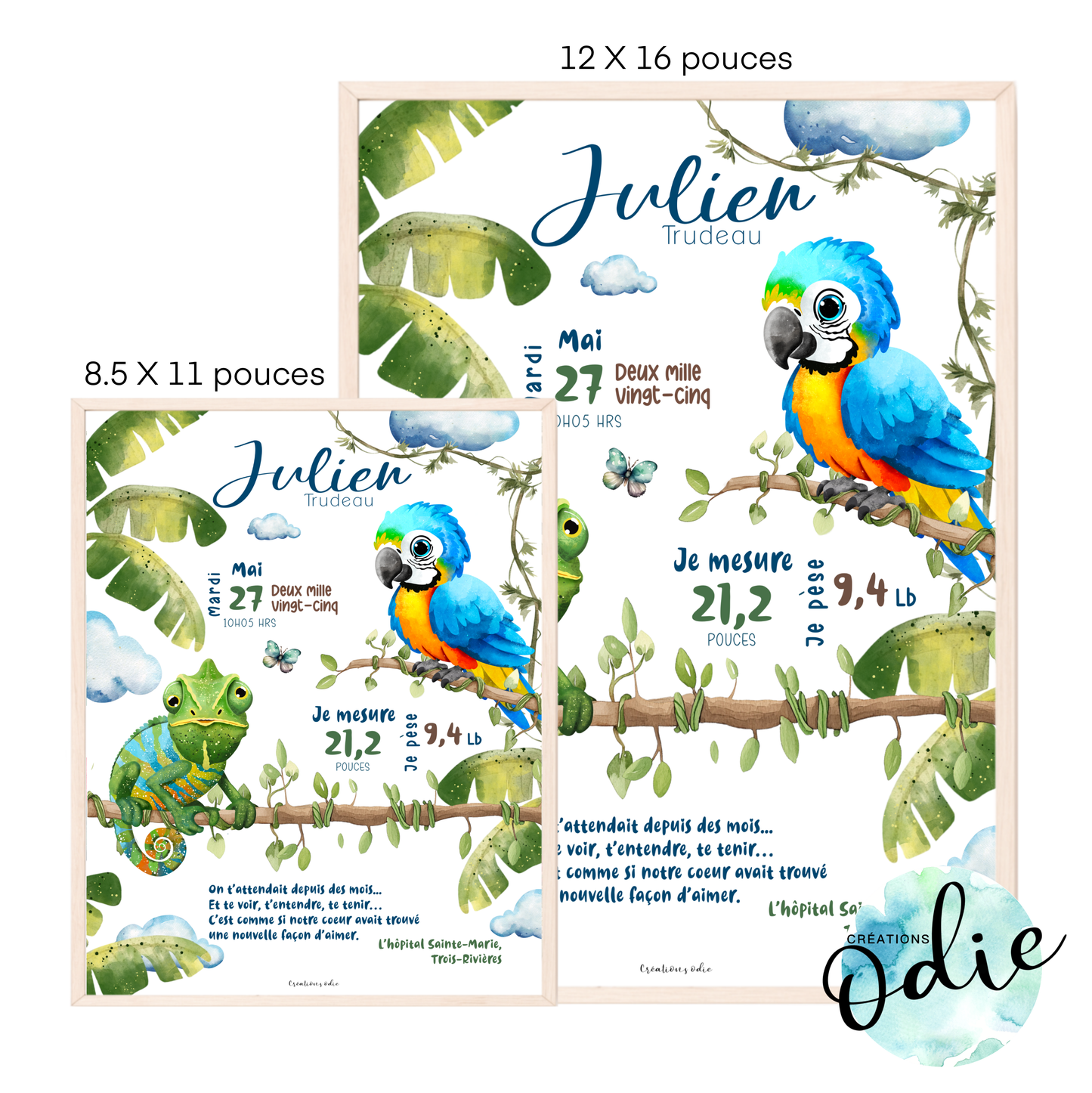 Affiche de naissance - Ara et le caméléon - Bébés et tout-petits - Créations Odie