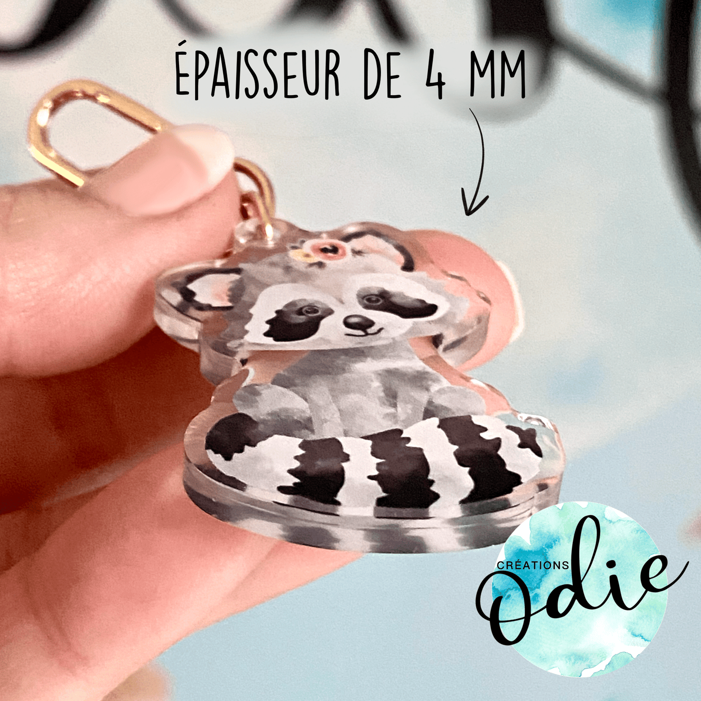 Porte-clés Raton laveur - Porte-clé - Créations Odie