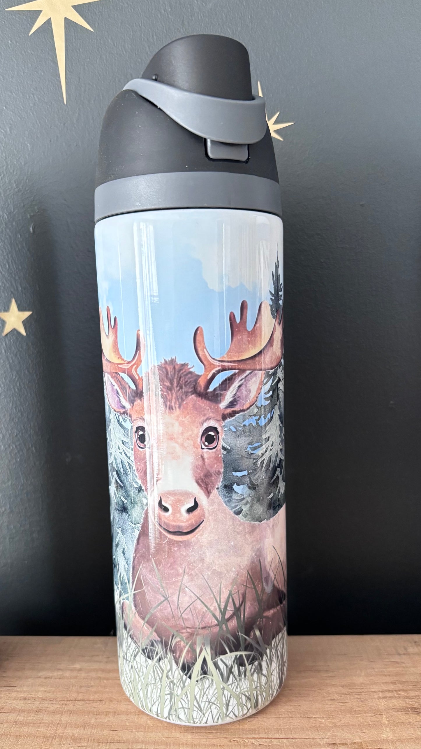 Gourdes thermos 24 oz