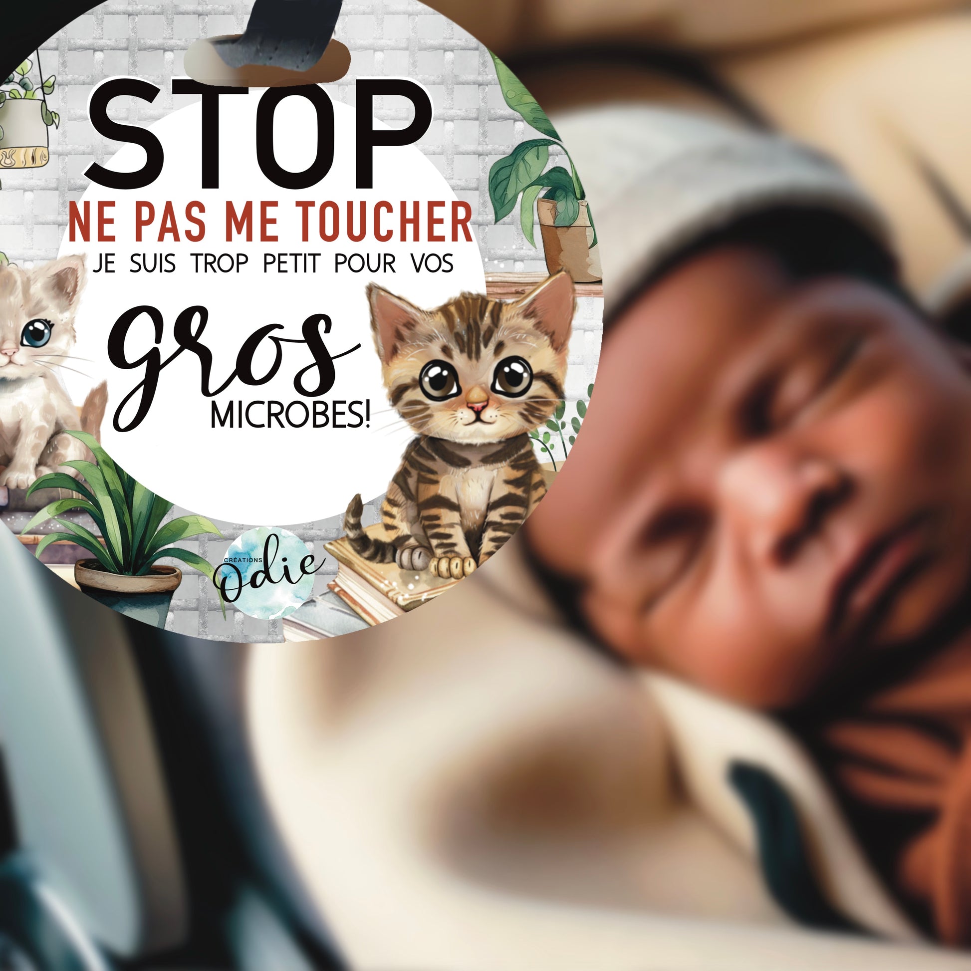 Affichette bébé Ne pas me toucher accrochée à une coquille, illustration chatons – protection contre les microbes pour nouveau-né