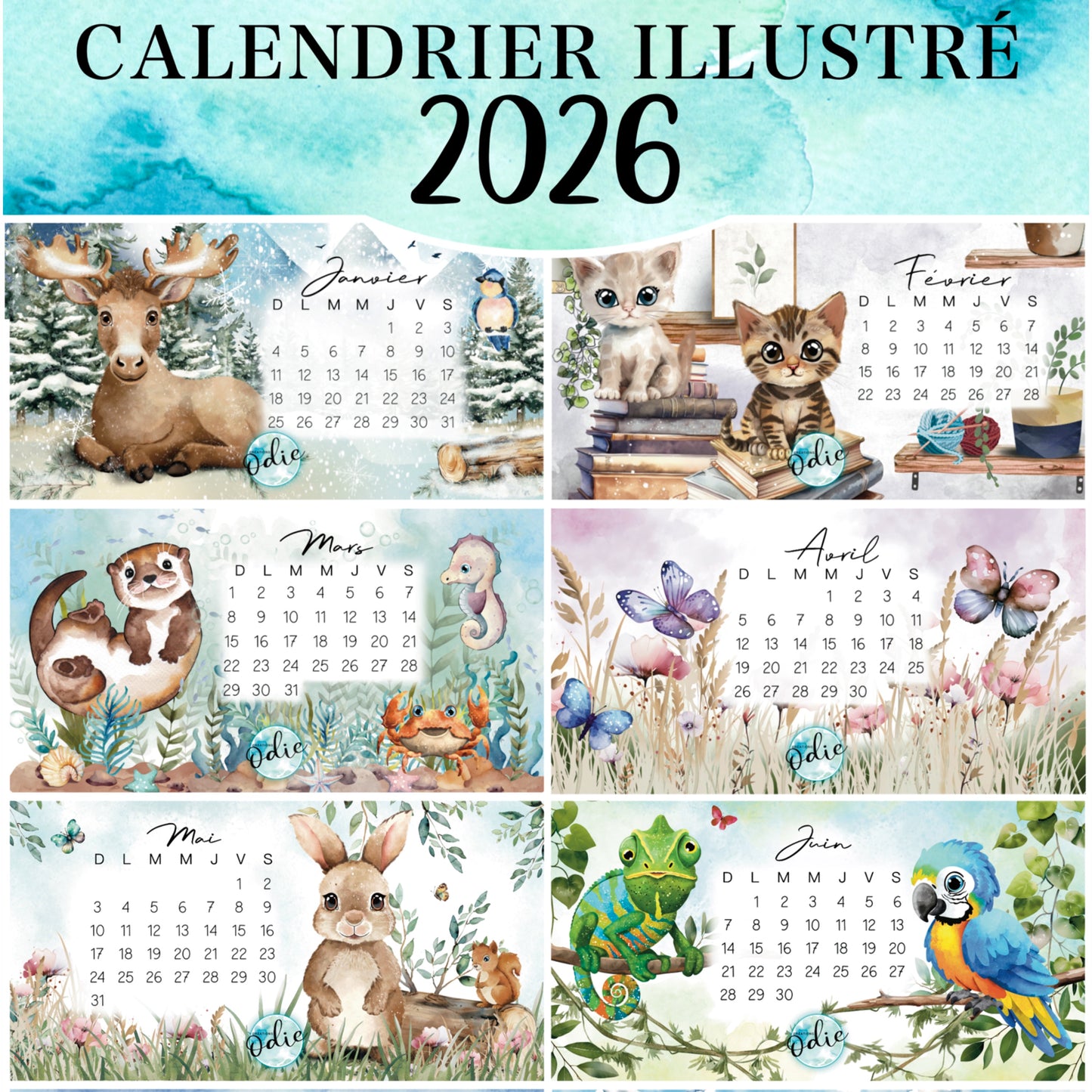 Calendrier illustré 2026 – visuel des 6 premiers mois du calendrier mural fait main, illustrations mensuelles colorées et base en bois