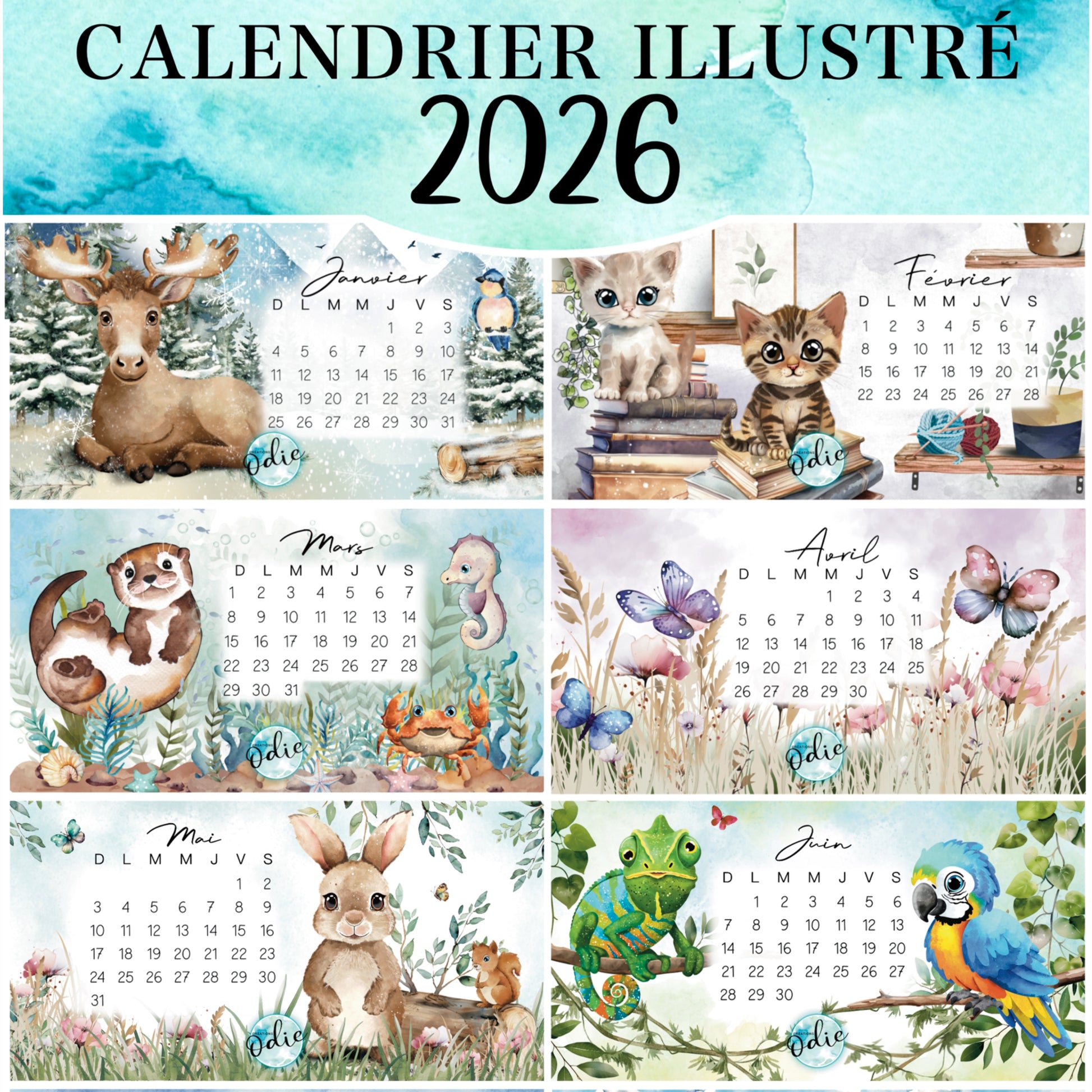 Calendrier illustré 2026 – visuel des 6 premiers mois du calendrier mural fait main, illustrations mensuelles colorées et base en bois