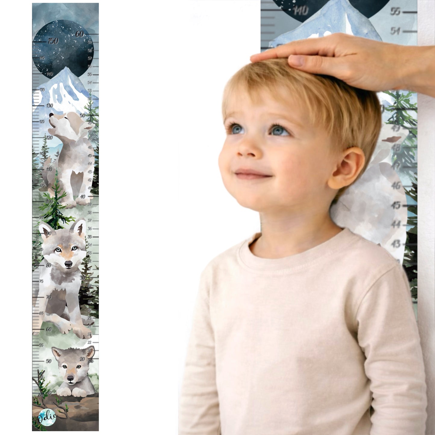 Échelle de croissance - Les petits louveteaux 