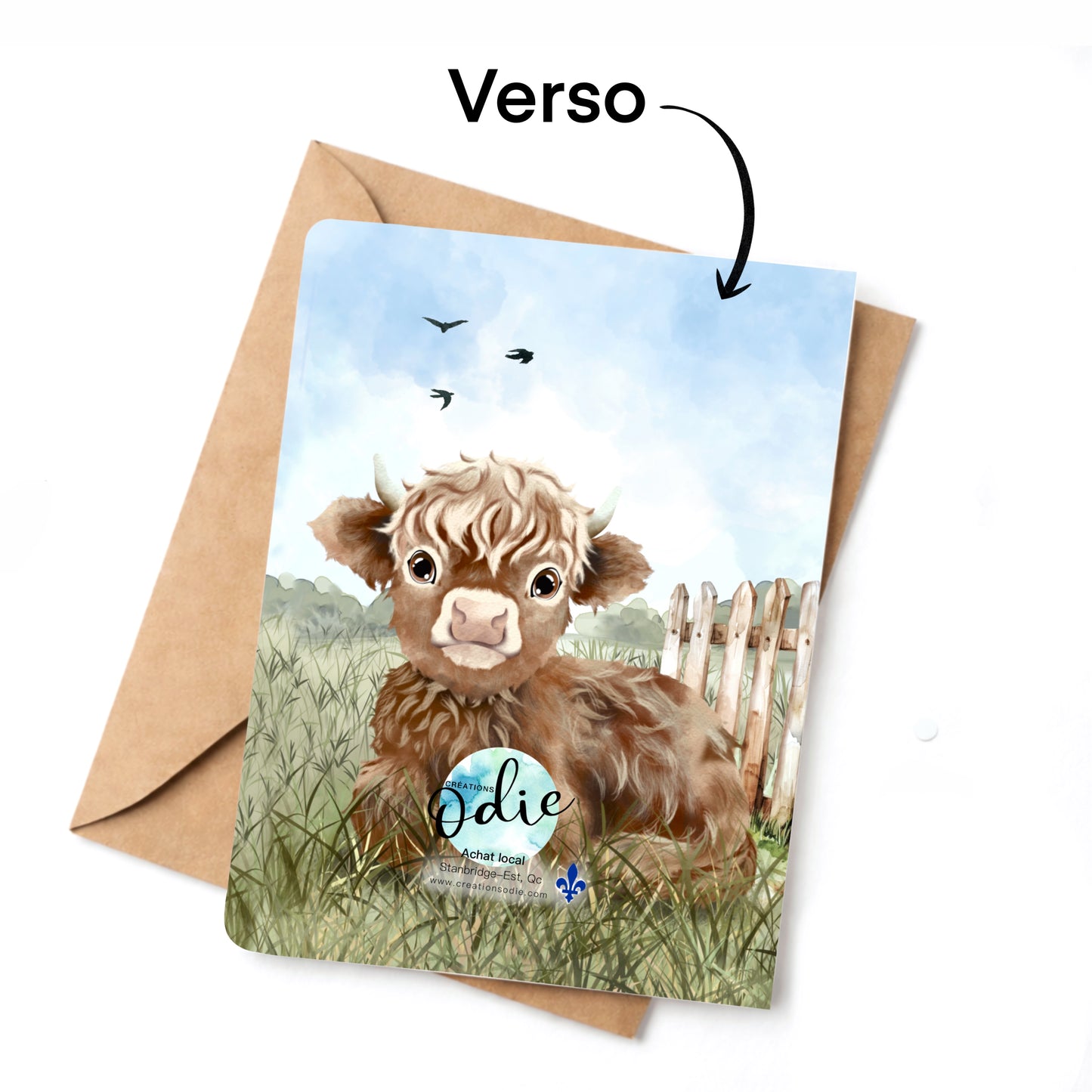 Carte - Les vaches highland