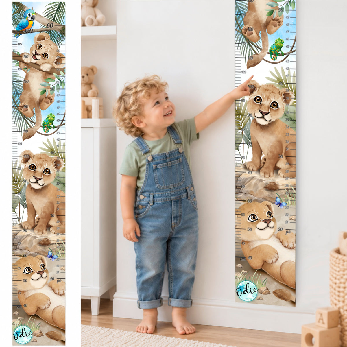 Échelle de croissance - Petits lionceaux