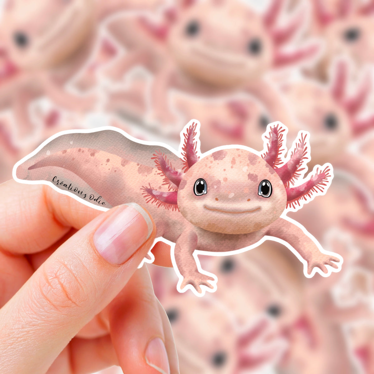 Autocollant vinyle Axolotl rose