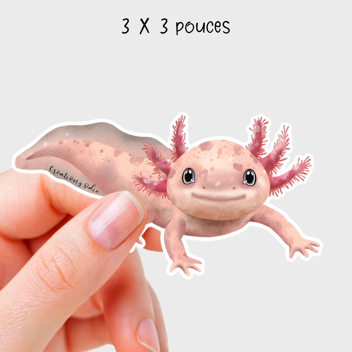 Autocollant vinyle Axolotl rose