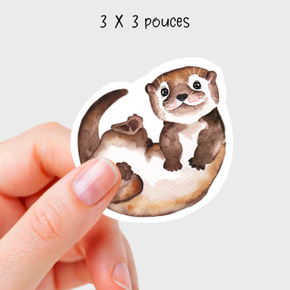 Autocollant vinyle Loutre