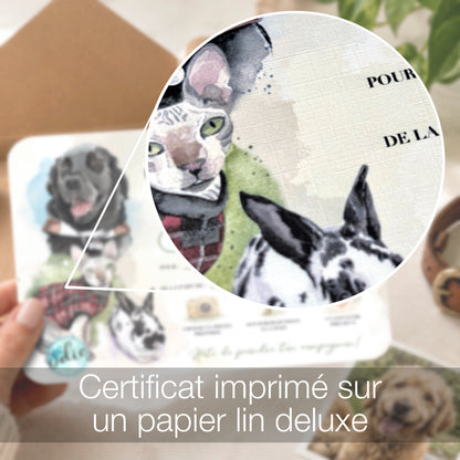 On voit une partie du certificat grossit pour voir la texture du papier fait de lin deluxe. 