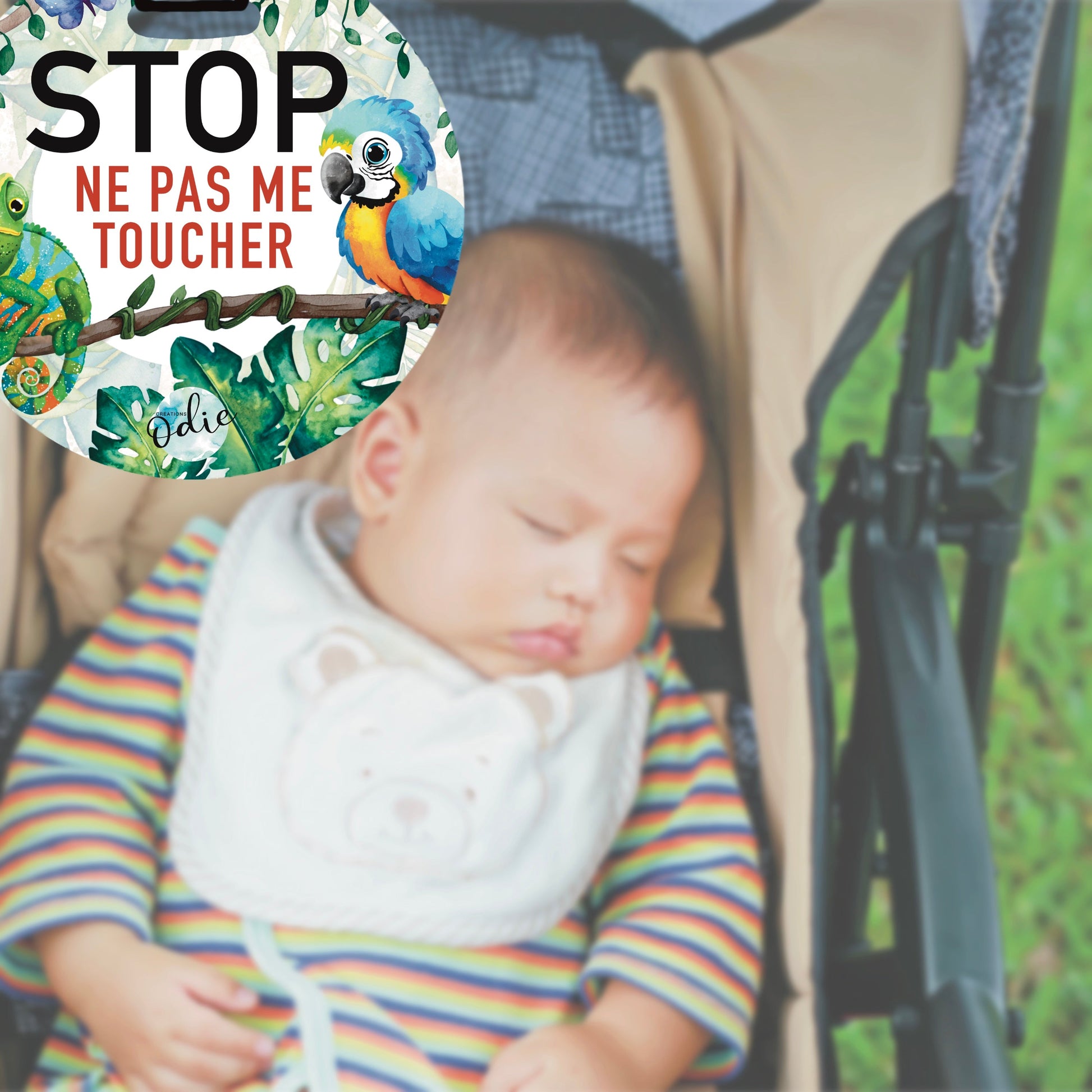 Affichette “Ne pas toucher bébé” – Poussette & siège auto (coquille) – Le perroquet Ara et le caméléon - Affichette ne pas toucher - Créations Odie