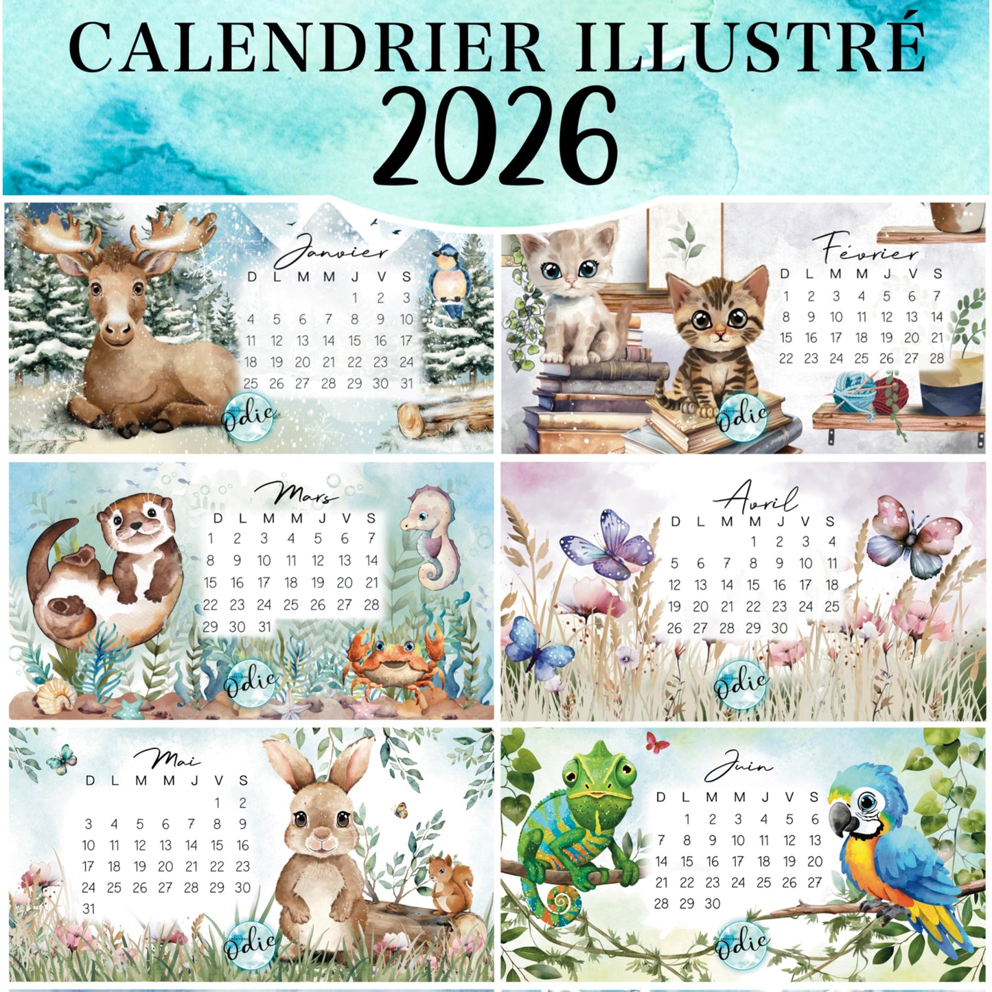 Calendrier illustré 2026 spiralé – Fait au Québec | Créations Odie - Calendrier - Créations Odie