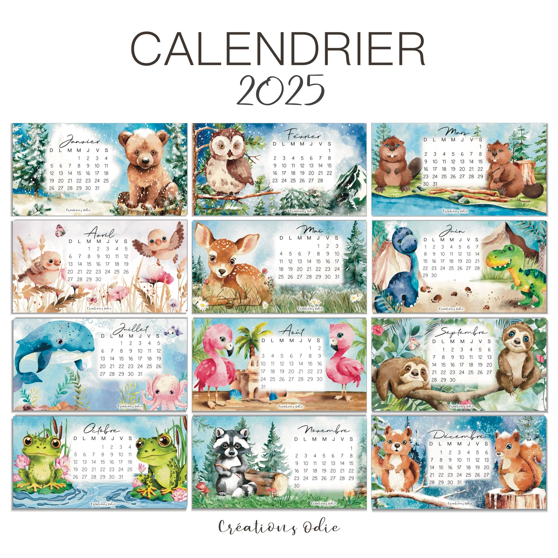 Mon calendrier illustré - 2025 - Calendrier - Créations Odie