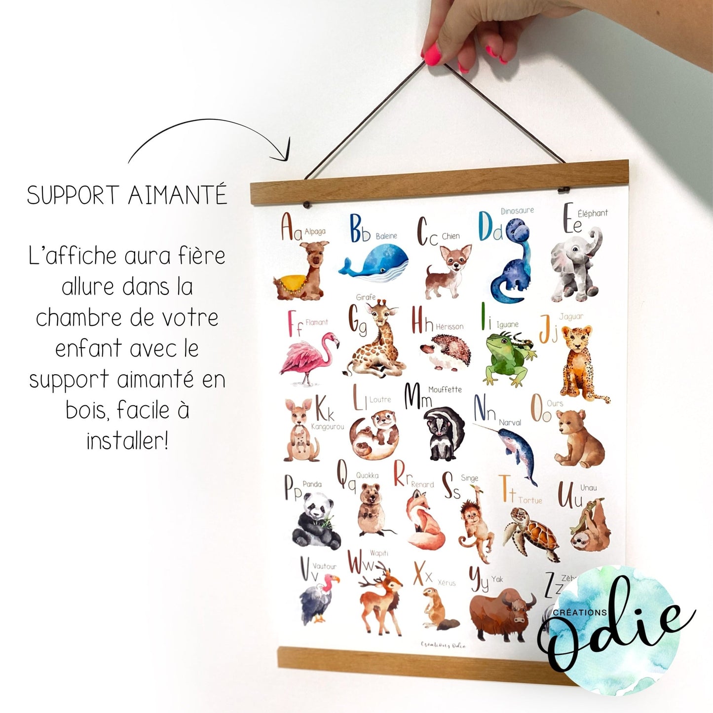 Support aimanté en bois tenant une affiche abécédaire illustrée d'animaux